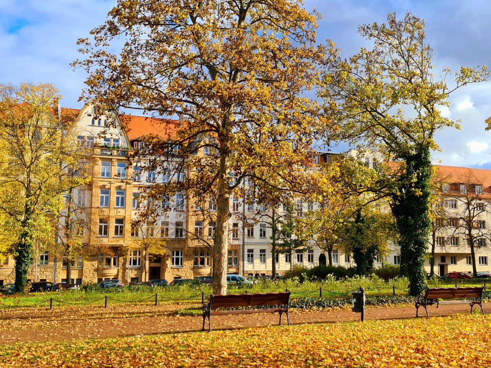 Kleinod Am Park - Zentrum-Suedost Lejlighed Leipzig Eksteriør billede